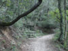 parco