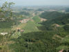 colli