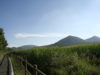 colli