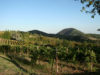 monte-fasolo