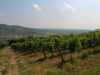 monte-cinto